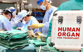Azərbaycanda orqan nəqli &uuml;&ccedil;&uuml;n xərc nə qədərdir?