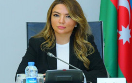 Ayg&uuml;n Əliyevaya yeni vəzifə verildi