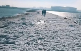 B&ouml;y&uuml;kşor g&ouml;l&uuml;ndəki k&ouml;p&uuml;k nədir?  A&Ccedil;IQLAMA