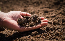 Torpaq sahiblərinə VACİB XƏBƏR: Sahələr pul qarşılığında alınacaq