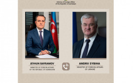 Azərbaycan və Ukrayna arasında tərəfdaşlıq münasibətlərinin aktual məsələləri müzakirə edildi