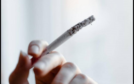 Siqaretlə bağlı məşhur mif puç oldu