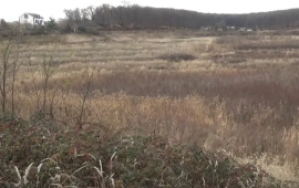 670 minə bataqlığı g&ouml;l edəcəklər