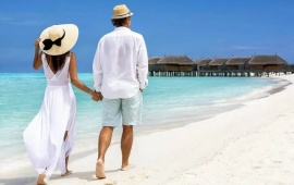 "Bal ayı"nı korlayan 1 nömrəli SƏHV