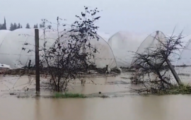 Cəlilabadda intensiv yağışlar ciddi fəsadlara yol a&ccedil;ıb