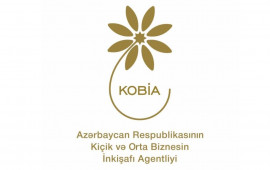 Regionlarda sahibkarlıq fəaliyyəti üçün imkanlar: KOB evləri, KOB dostları, KOB inkişaf mərkəzləri 