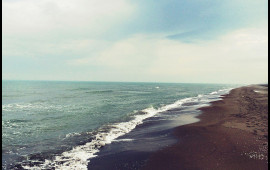 Xəzər dənizinin səviyyəsinin azalmasının səbəbləri açıqlandı  RƏSMİ