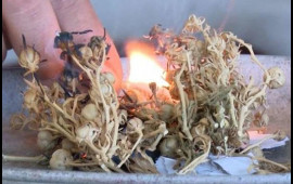 Evdə yandırdığımız bu bitkinin tərkibi NARKOTİK İMİŞ  Hamıda var  Nazirlikdən XƏBƏRDARLIQ