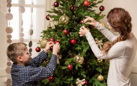 Yeni il "yolka"ları barədə ciddi xəbərdarlıq   Evə gətirdiyimiz təhlükə