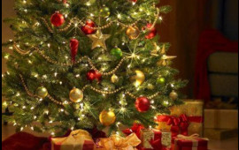 Yeni İl şam ağacları xəstəlik yayır? 