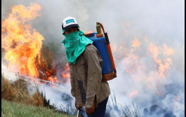 Argentinada f&ouml;vqəladə vəziyyət elan edildi