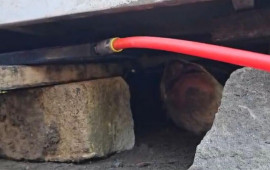 Avtobusun altında k&ouml;məksiz qalan şəxs xilas edildi 