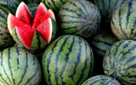 Süni şəkildə yetişdirilən qarpızı necə tanıyaq?  Ekspert AÇIQLADI