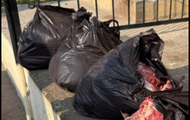 At ətini mal əti adı ilə Bakıda satmaq istədi  FOTO