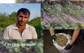 Kürün sahilində xüsusi tunel hazırlayaraq çətənə bitkisi yetişdirən şəxs saxlanılıb