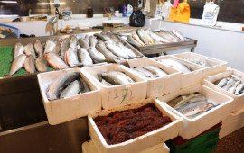 “NəzrinE” MMCdə ciddi nöqsanlar aşkarlanıb