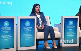 Trend və DHA agentlikləri süni intellekt əsaslı rəqəmsal platformaya TDT və D8 ölkələrinin mediasını dəvət edir  Sevil Mikayılova