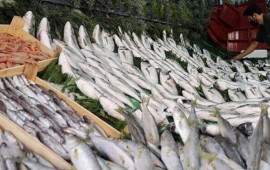 Noyabrın faydalı balıqları məlum oldu