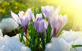 Azərbaycanda boz ay BAŞLADI