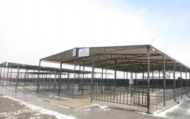 Ağcabədi heyvan bazarının fəaliyyətinə icazə verilib