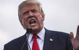 Tramp: "Mən kralam..."