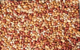 Nə ət, nə meyvə, nə də tərəvəz: Dünyanın ən sağlam qidası açıqlandı — 100 baldan 97 aldı