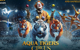 “Su və Pələnglər Sirki”  Circus Sea Breeze səhnəsində bu yay Bakının ən möhtəşəm sirk hadisəsi!