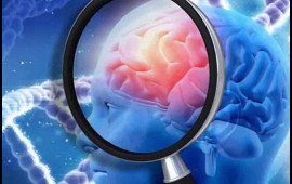 Bu vərdiş beyni 8 il gəncləşdirir – alimlərdən maraqlı açıqlama