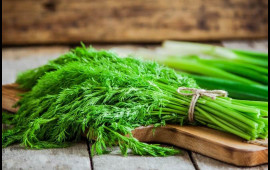 Dünyanın ən sağlam qidası şüyüd imiş... 