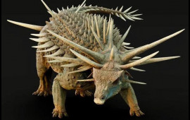 165 milyon il əvvəl yaşamış tikanlı dinozavr kəşf edildi  FOTO