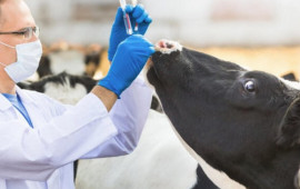 Bu səbəbə g&ouml;rə f&ouml;vqəladə vəziyyət elan edildi