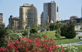 "Təzəpirin ətrafı yenidən qurulacaq, süni göl yaradılacaq"