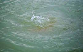 50 yaşlı kişi su kanalında boğularaq &ouml;ld&uuml;