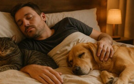 Ev heyvanı ilə eyni yataqda yatanlara ciddi xəbərdarlıq