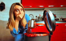 Zibil qablarından gələn qoxuya SON