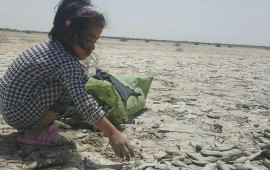 Yandırılmış sabitlik: İran öz ekoloji fəlakətinin əsirinə çevrilib