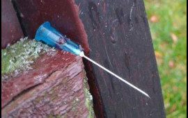 Bu ərazi Bakının narkotik yuvasına çevrilib