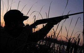 Qanunsuz ov edənlər altı min manat cərimələnib