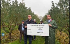 Azərbaycanda meyvə bağları üzrə ən böyük aqrar sığorta ödənişi edilib  FOTO