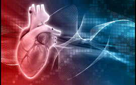 3 min insanın nə yeyibi&ccedil;diyini illərlə izlədilər  &Uuml;rəyi yormayan qidalar a&ccedil;ıqlandı