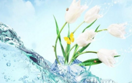 Bu g&uuml;n Novruzun ilk &ccedil;ərşənbəsidir