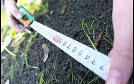 Bələdiyyələrin qanunsuz satdığı torpaqlar geri alınır  Nazirlik məhkəmələrə m&uuml;raciət edib