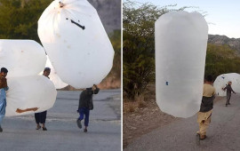 Çarəsizliyin şəkli   torbalara doldurub evlərinə aparırlar 