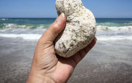 Adi bir daş kimi g&ouml;r&uuml;n&uuml;r, sahildə tapan varlanır 