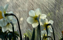 Yağış, dolu və sulu qar yağacaq  bu tarixdə  XƏBƏRDARLIQ
