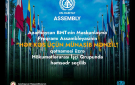Azərbaycan BMT Hökumətlərarası İşçi Qrupunda həmsədr seçilib 