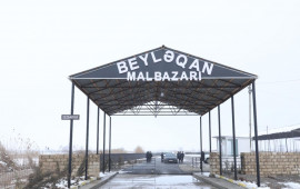 Beyləqan heyvan bazarının fəaliyyətinə icazə verilib