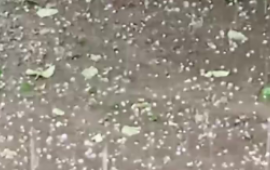 Yardımlıya güclü dolu yağdı 