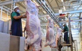 Ət alarkən ehtiyatlı olun  Həyatınıza təhl&uuml;kə ola bilər  A&Ccedil;IQLAMA