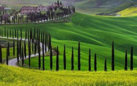 Bu şəhərə k&ouml;&ccedil;mək istəyənlərə 30 min dollar veriləcək